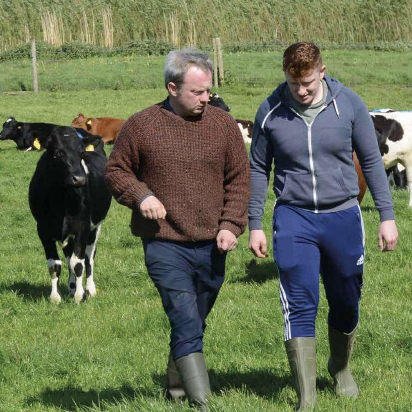 The importance of employer compliance and legislation