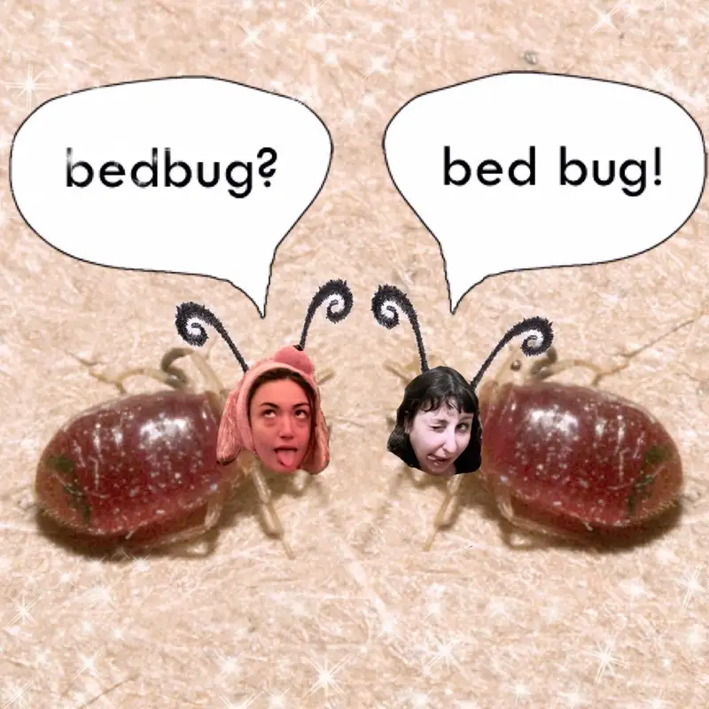 Vive le Bedbug