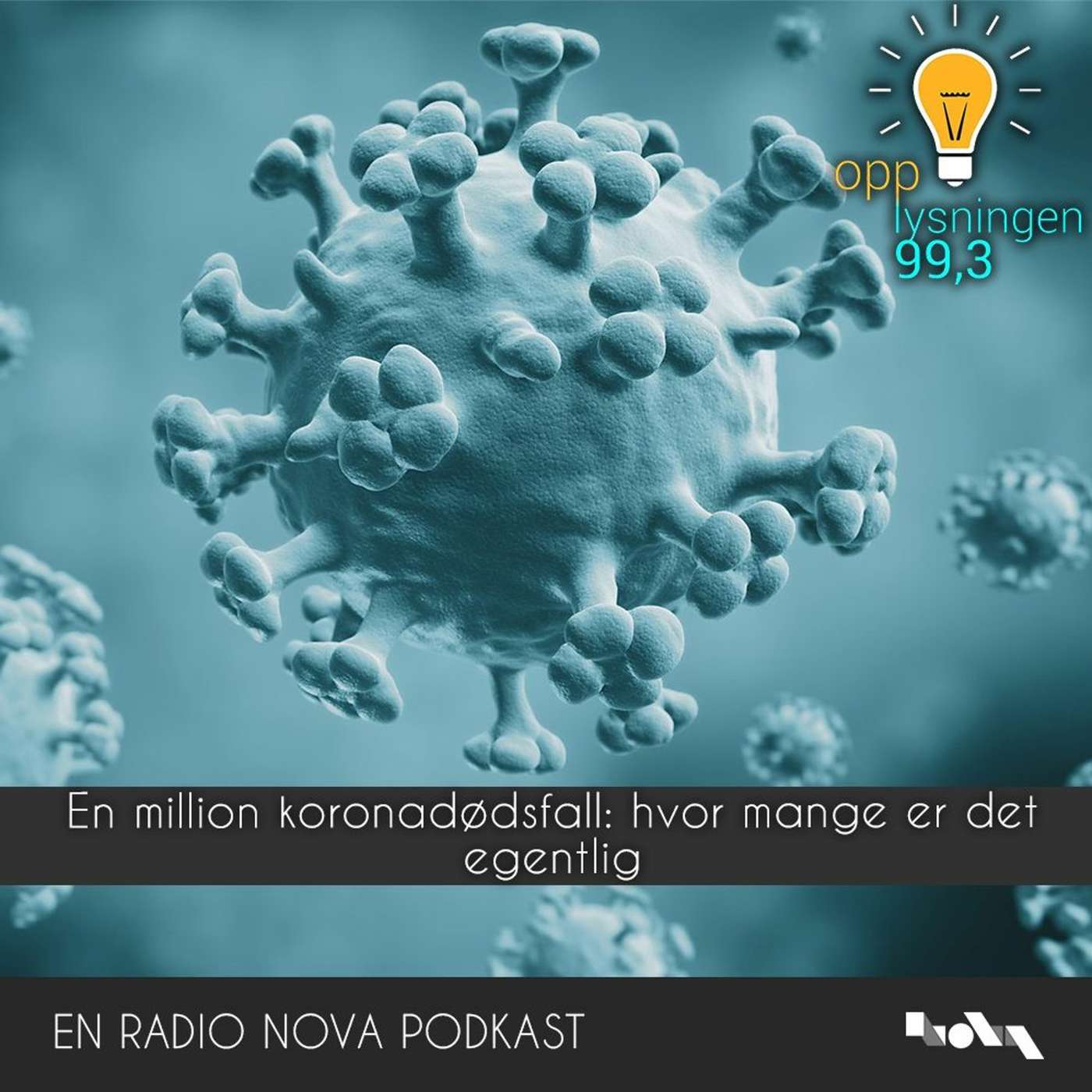 En million koronadødsfall: hvor mange er det egentlig? episode artwork