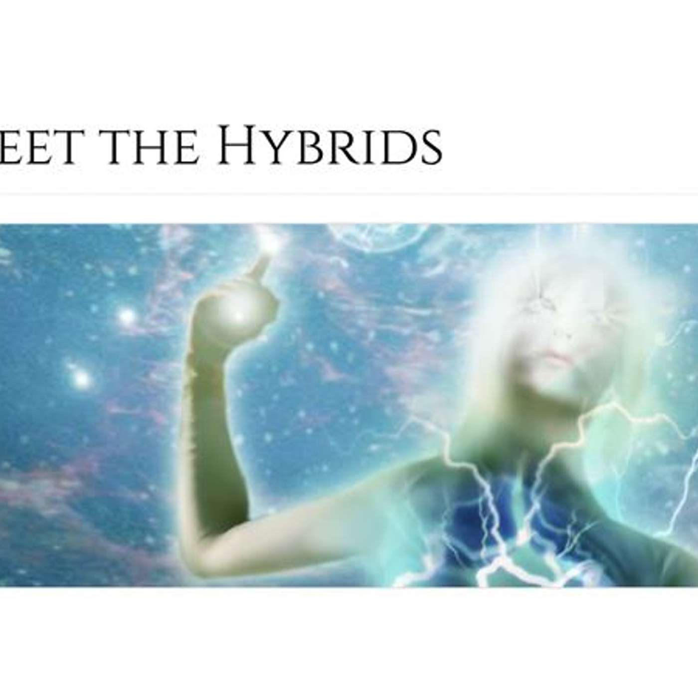 Meet the Hybrids: The Lives and Missions of ET Ambassadors on Earth episode artwork