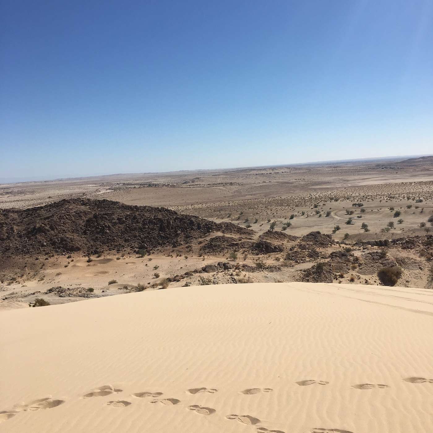 The Diversity of Equality: Power, Culture & the Paradox of Inclusion