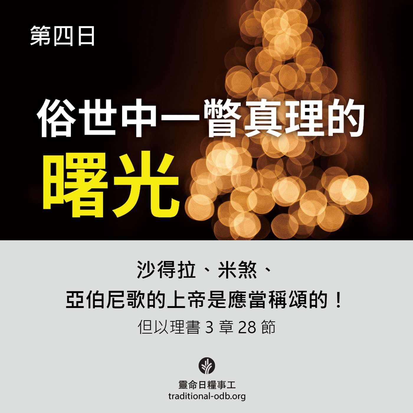 將臨期12天靈修計劃-《聖善夜》第4日 神聖的一瞥