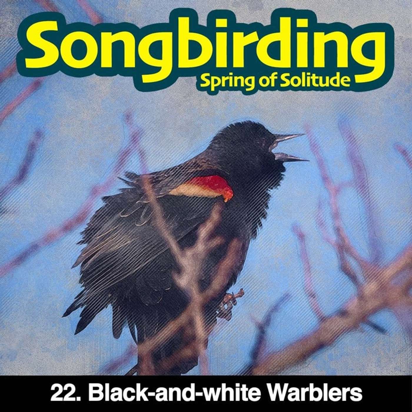 Songbirding