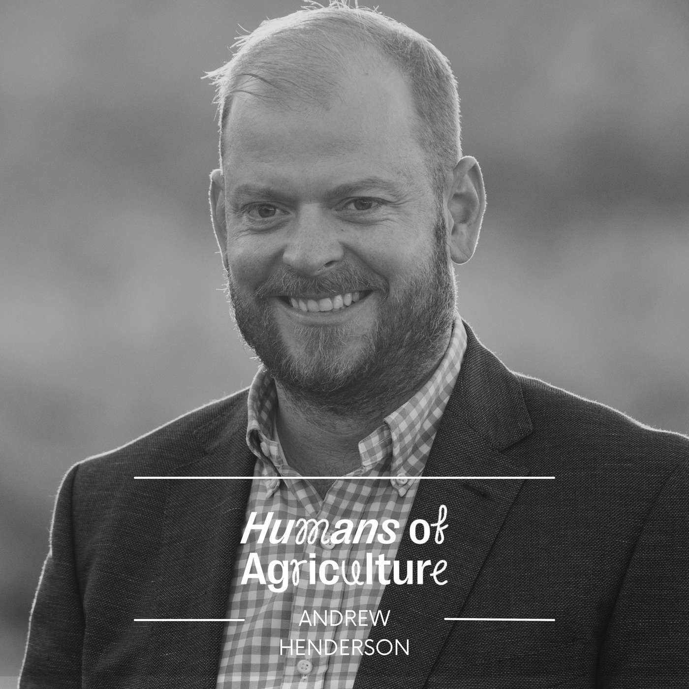 In The Know: What does opening our doors to US beef mean? with Andrew Henderson
