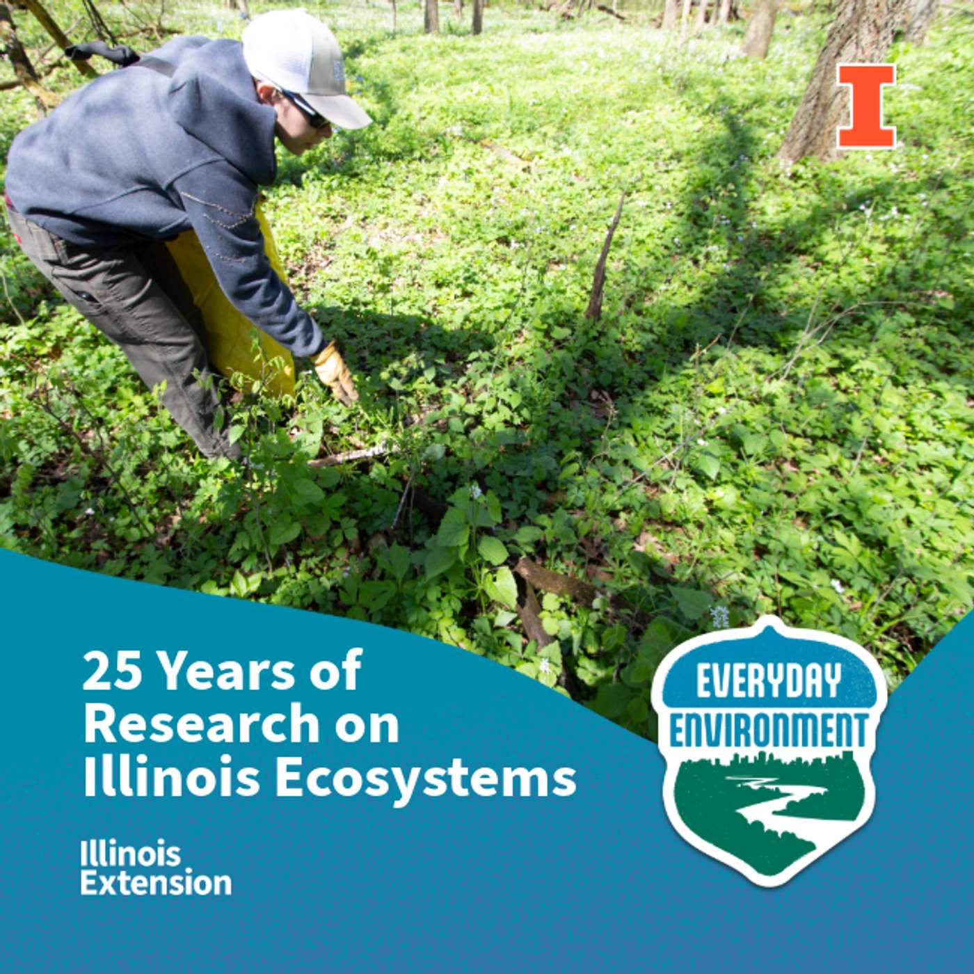 Looking back to move forward: using historical data to understand invasions with TJ Benson