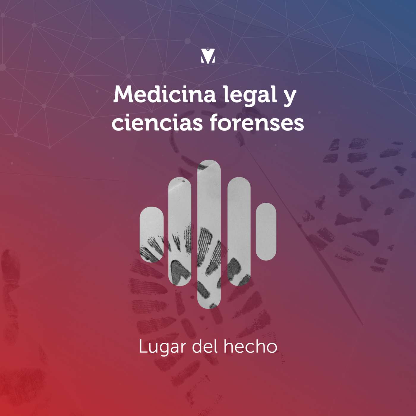 1 - MEDICINA LEGAL Y CIENCIAS FORENSES: Lugar del Hecho episode artwork