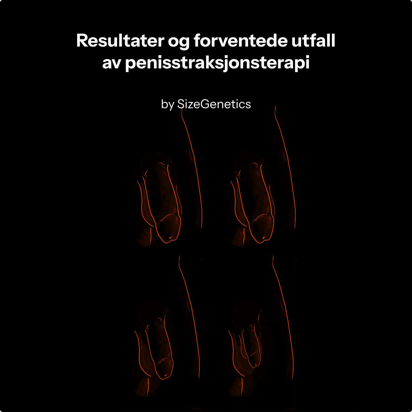 Resultater av penistraksjonsbehandling (15+ studier) | SizeGenetics episode artwork