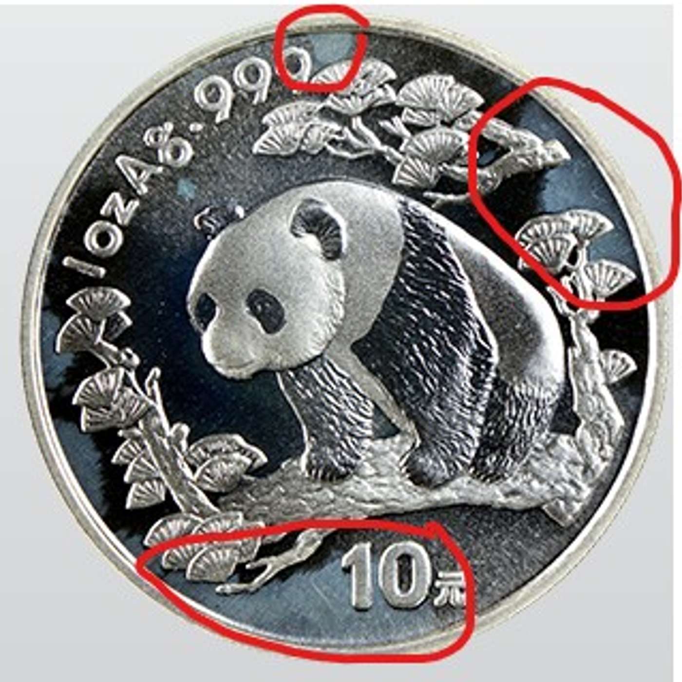 The Cabbage Coins Podcast