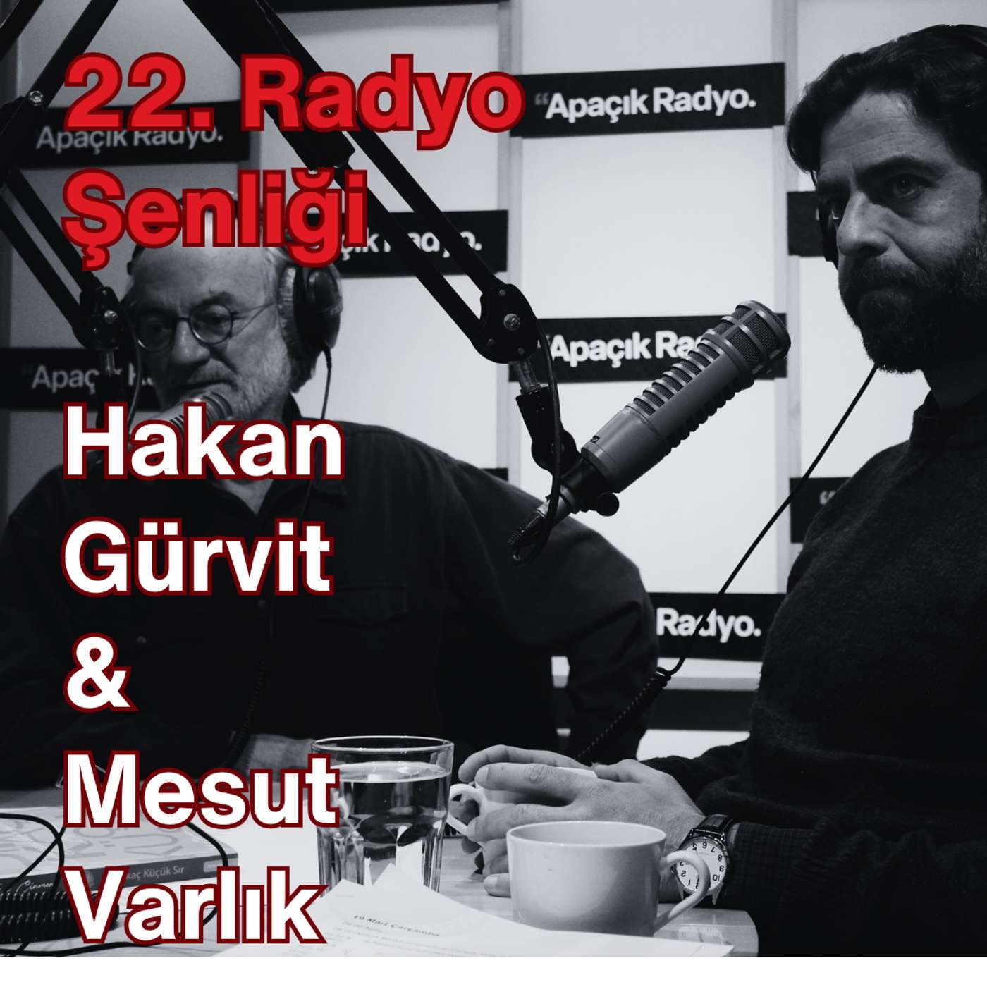 Radyo Şenliği 2025