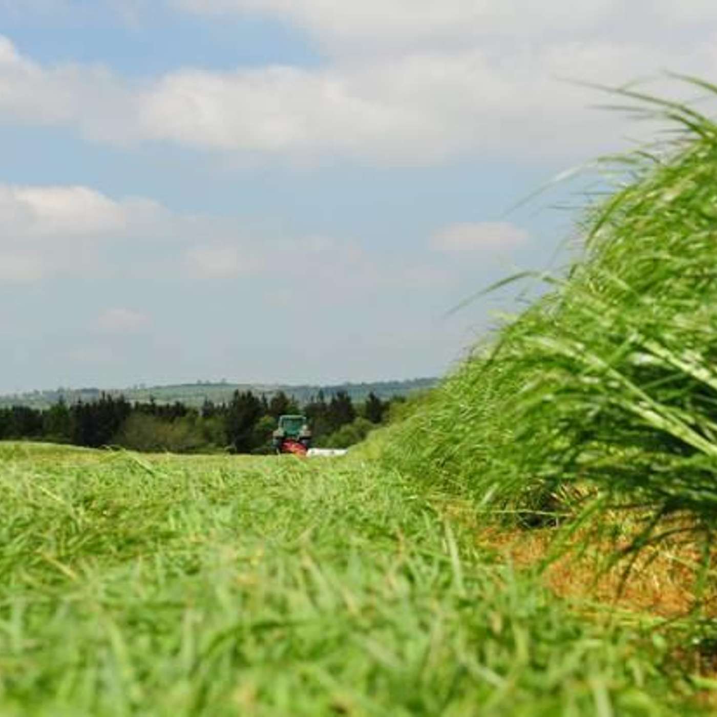 How to maximise silage yields to replenish silage stocks