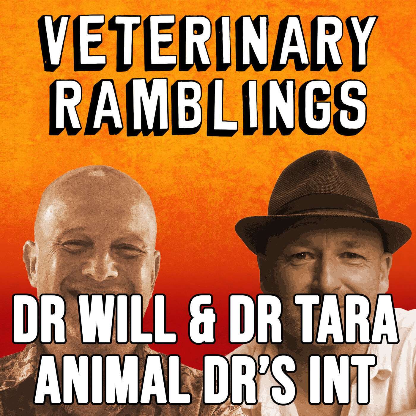 Ep 33: Animal Doctors International With Dr Will & Dr Tara episode artwork