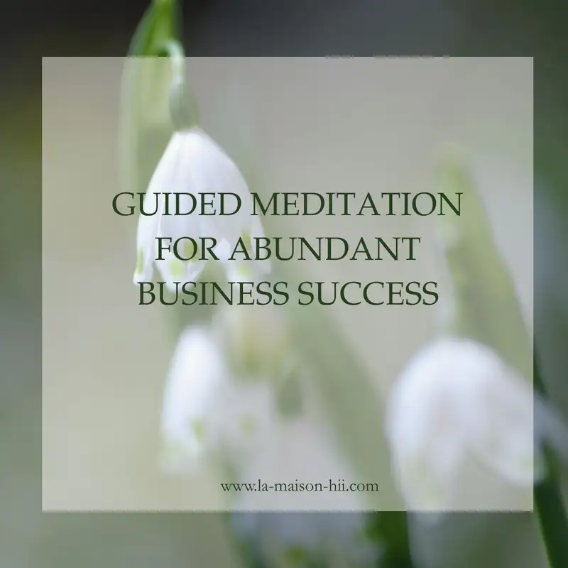 17. Guided Meditation For Abundant Business Success