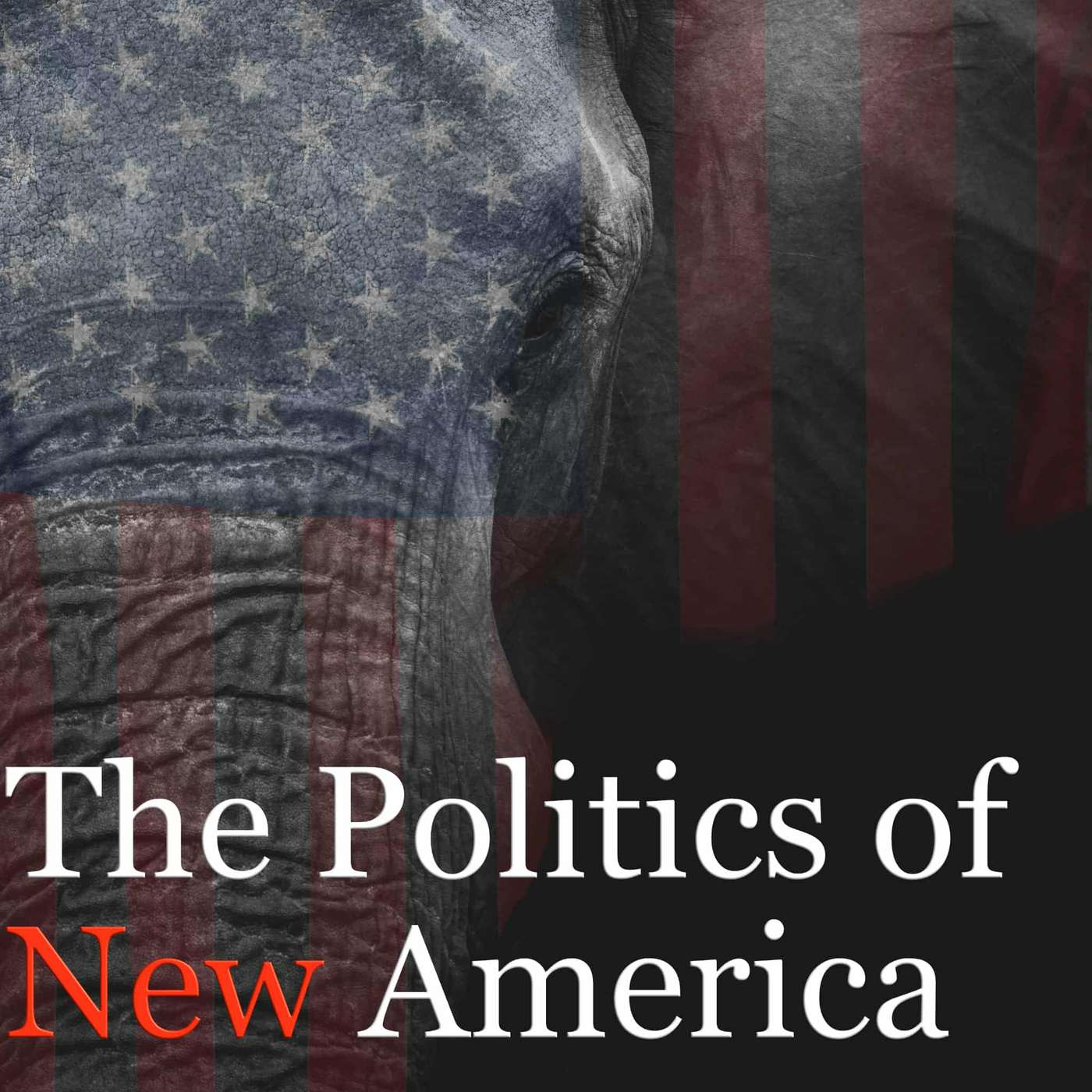 The Politics of New America
