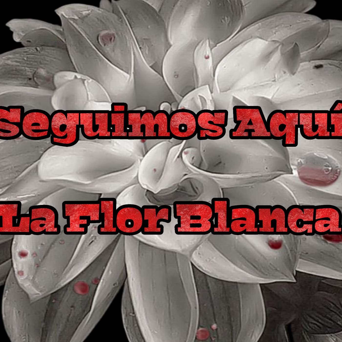 "Seguimos Aquí" La Flor Blanca