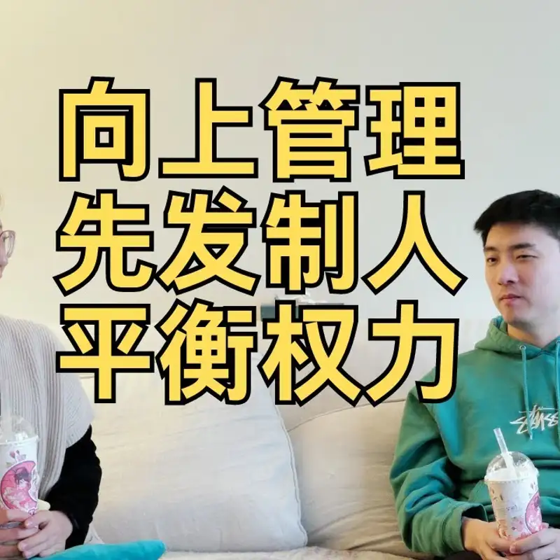 E331. 圈内秘籍：职场本质是权力的游戏？｜ 数据团队如何做出影响力？｜前创业公司数据负责人Angelina