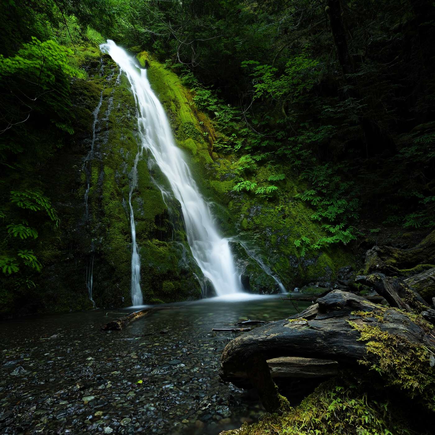 The Nature Photography Podcast