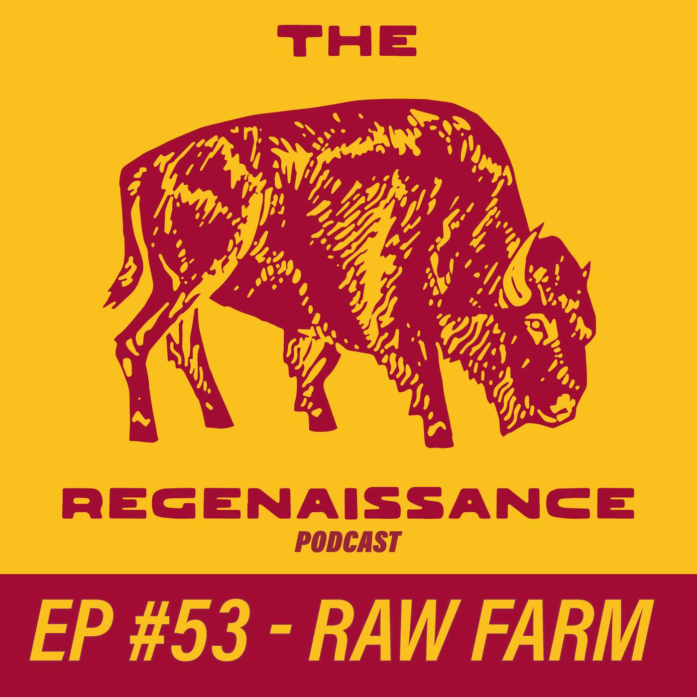The Regenaissance Podcast