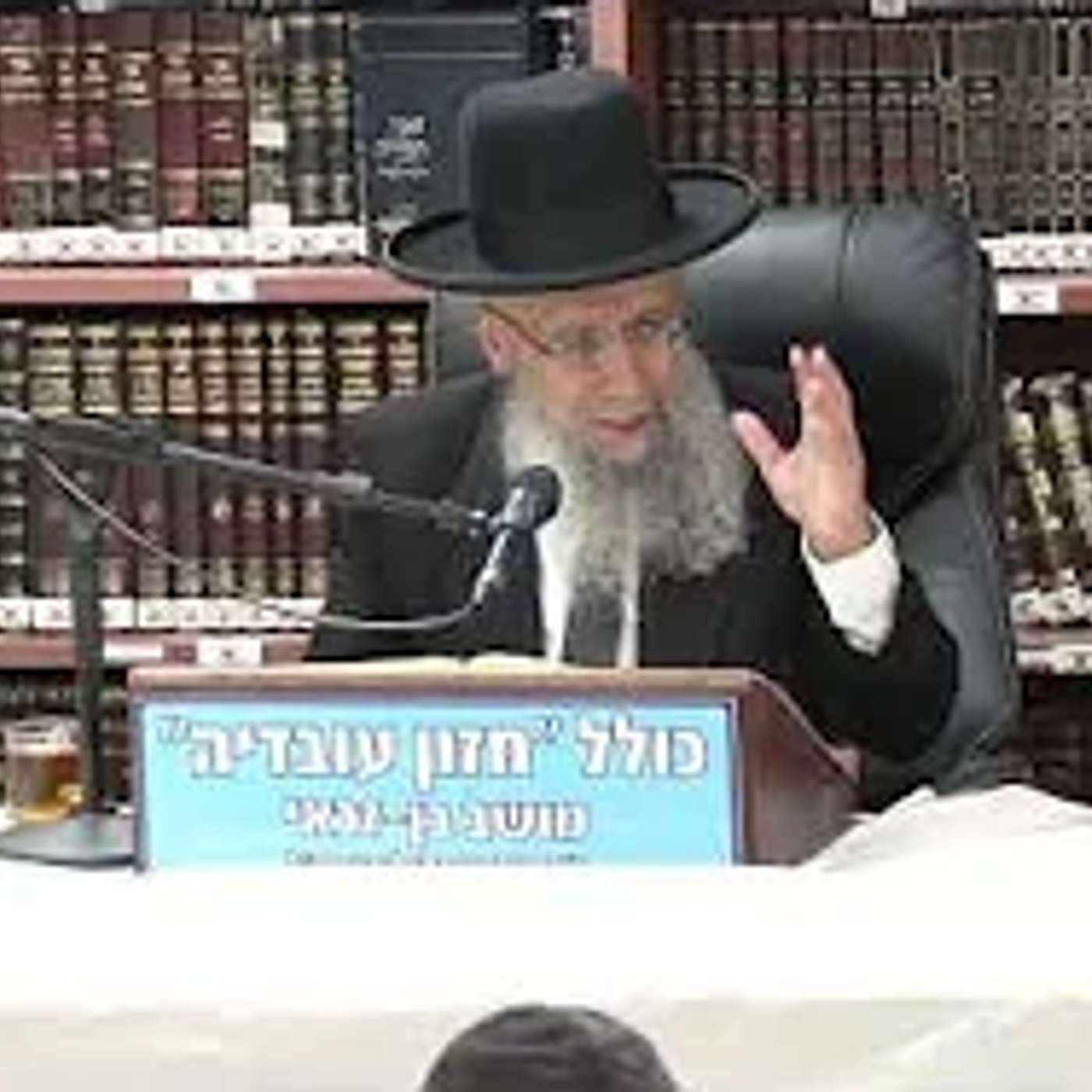 הרב גדעון בן משה :  הלכות שבת .  דין בורר .  חלק שני.
