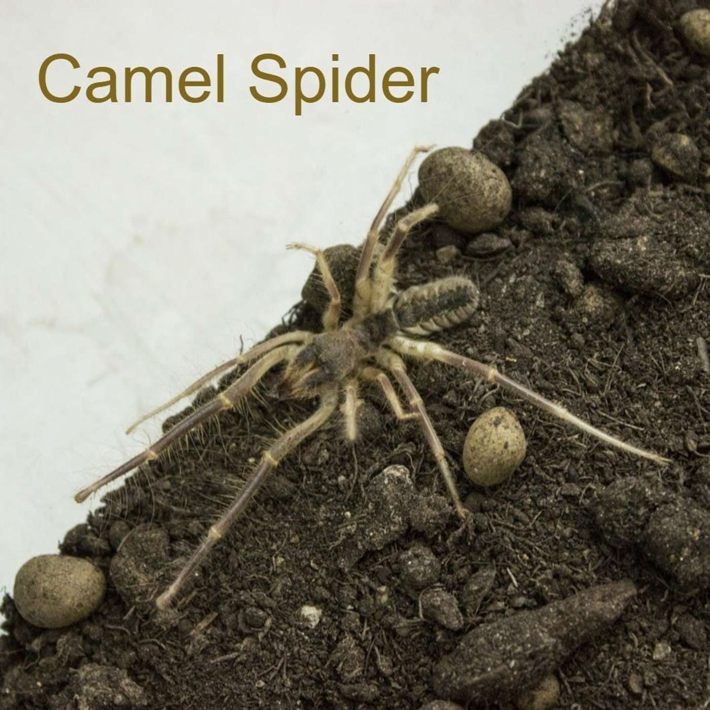 Nature and Science 4 Kids