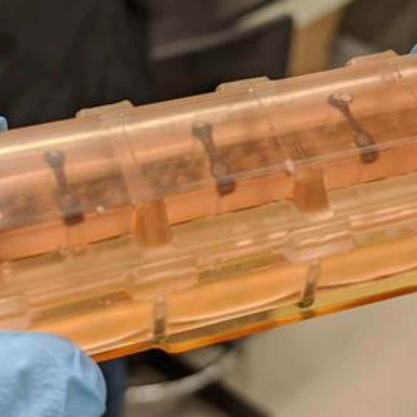 Nanotech Boosts Antimicrobial Care, James Webb Observes Exoplanet Asymmetry, High-Entropy Alloy Coatings Innovate, Study Reveals Astronaut Heart Risks, and more...