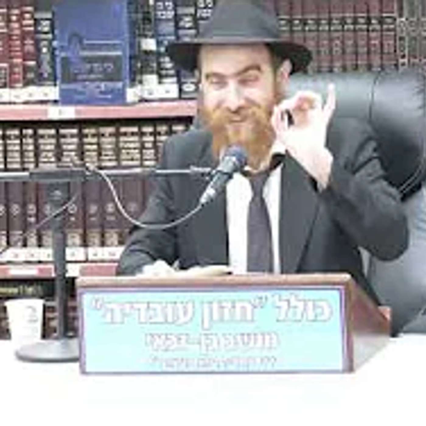 הרב יחיאל גלוכובסקי :תניא. רשמים משמחת בר המצוה של הבן,  בציון של הרבי וכן על חטא המרגלים .שיעור 114 episode artwork