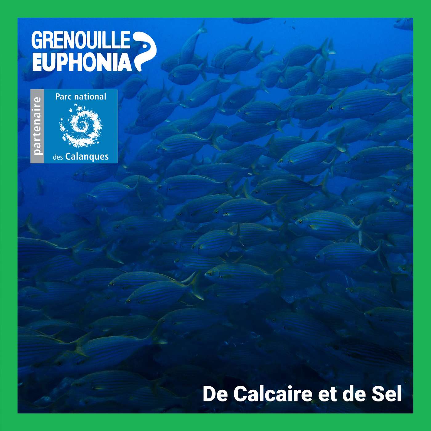 De calcaire et de sel | Observatoire du climat : Pêcheurs et nouvelles espèces