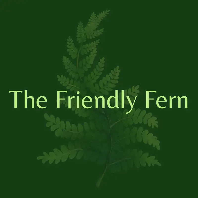 The Friendly Fern