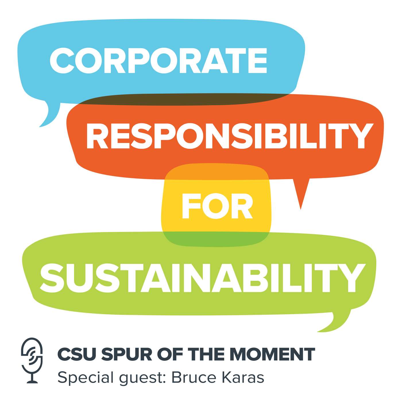 Corporate Responsibility for Sustainability with Bruce Karas episode artwork