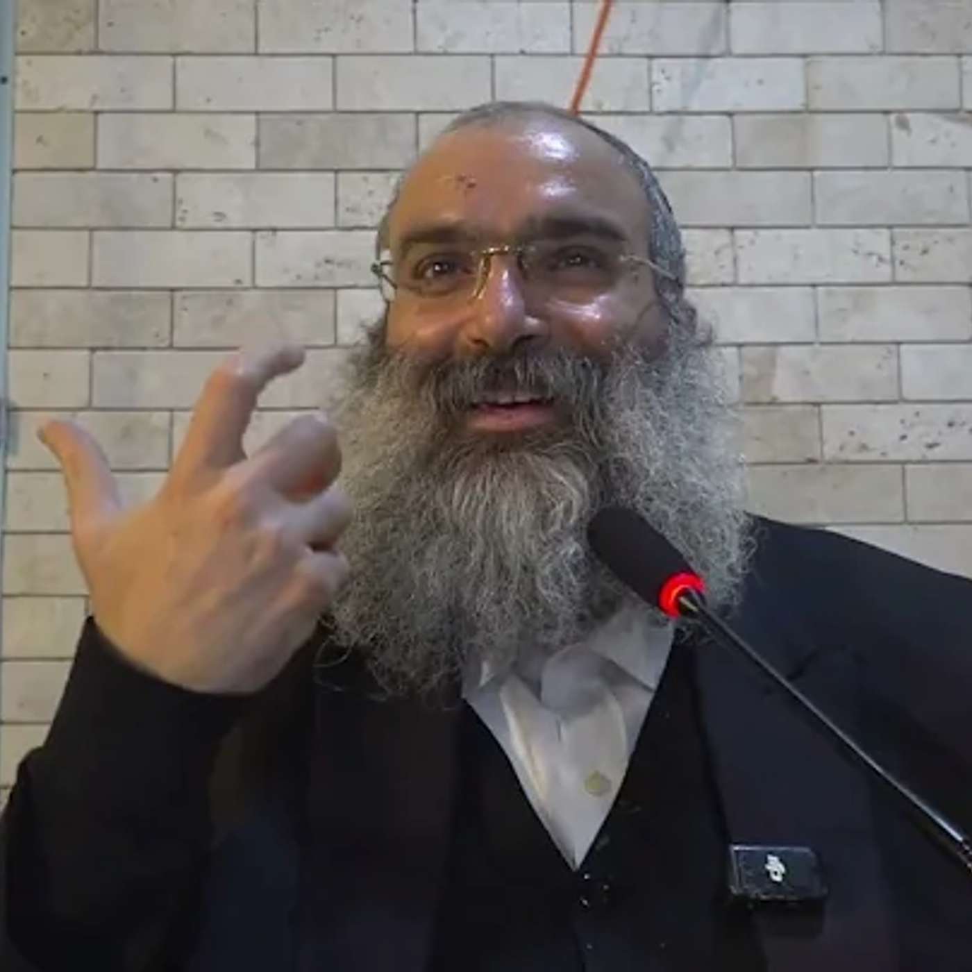 מה קודם – נטילת לולב בסוכה או אחרי הנץ?▪️הרב נחמנסון▪️(כינוס תורה בית חב"ד חדרה) episode artwork