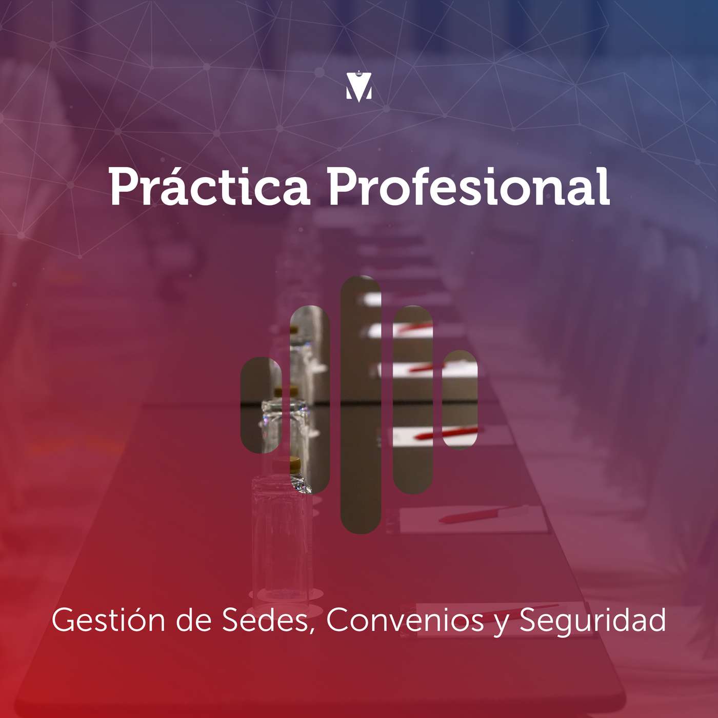 1 - PRÁCTICA PROFESIONAL: Gestión de Sedes, Convenios y Seguridad episode artwork