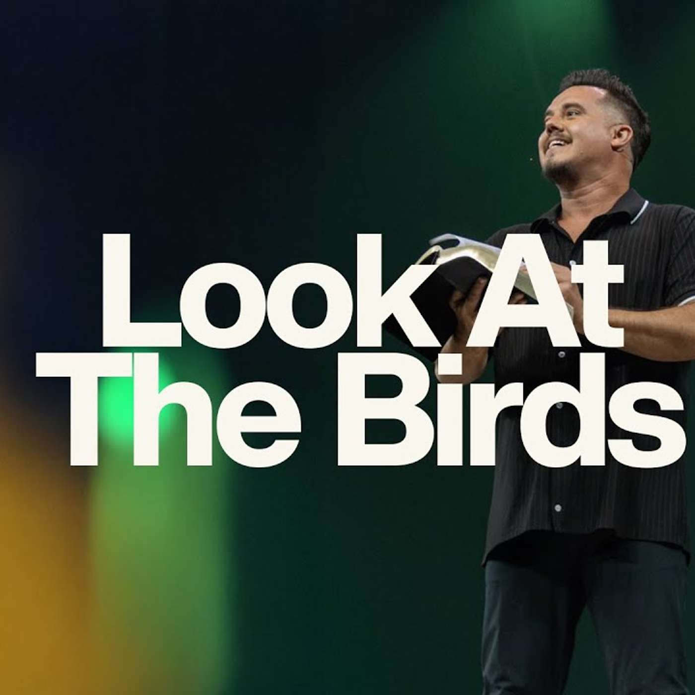 LOOK AT THE BIRDS | PAUL DAUGHERTY