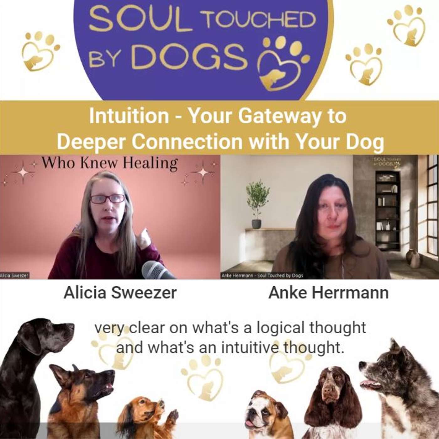 Soul Touched by Dogs