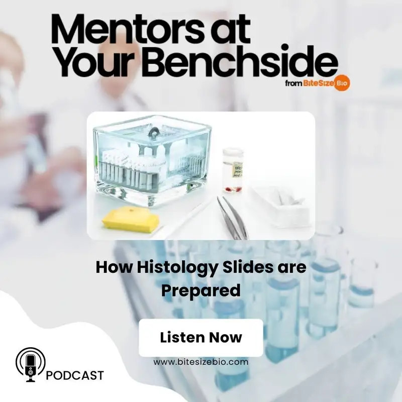 How Histology Slides Are Prepared