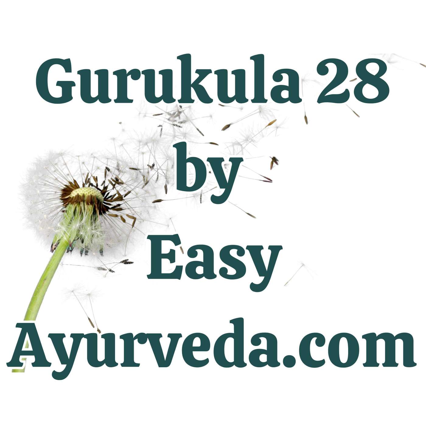 Gurukula 28: An Analytical Interpretation Of Gata Vata - A Case Study episode artwork