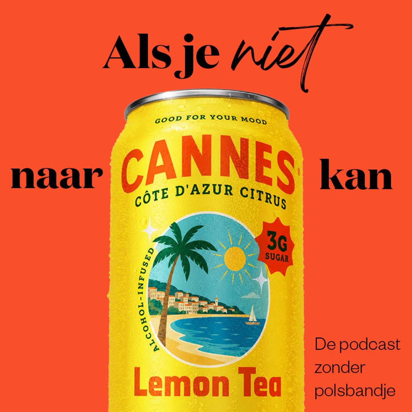 Als Je Niet Naar Cannes Kan