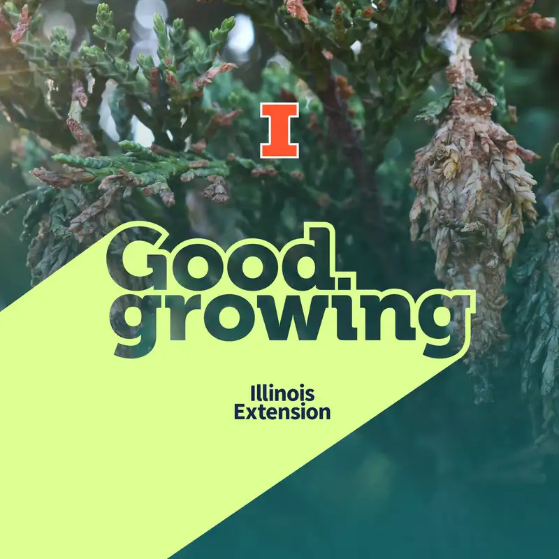 Ep. 249 Common Tree Diseases and Insect Pests in Illinois and What to Do About Them | #GoodGrowing