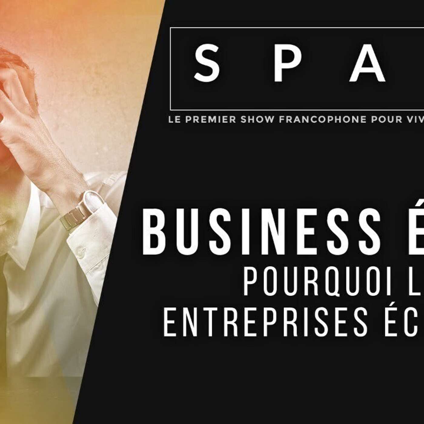 SPARK LE SHOW: BUSINESS ÉCHEC - Pourquoi les entreprises échouent episode artwork