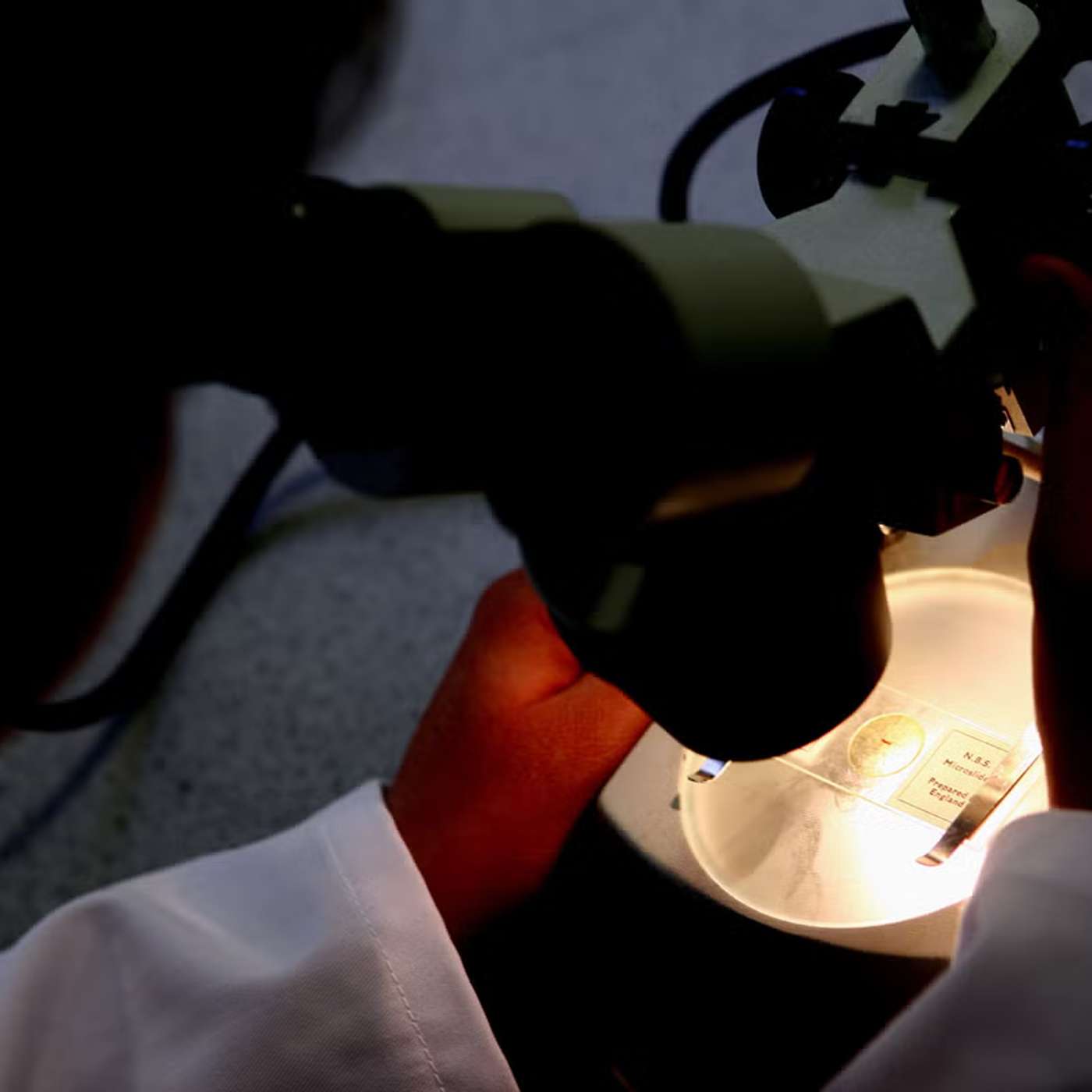 Fauci Defends Pandemic Policies, Male Contraceptive Gel Breakthrough, Moderna Stock Soars on Breakthroughs, Ancient Eruptions Evolution Sharks, and more...