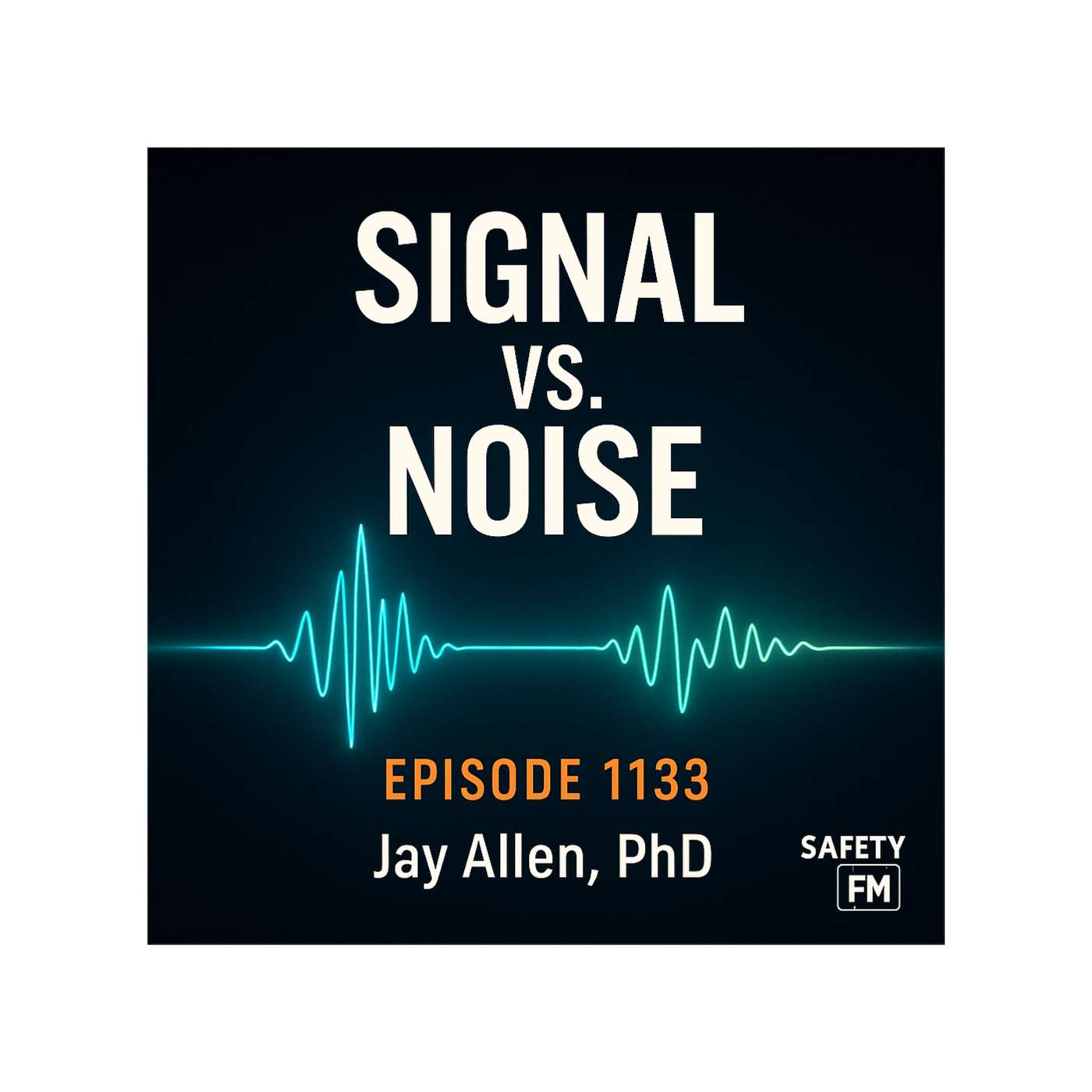 EP 1133 - Signal vs. Noise episode artwork