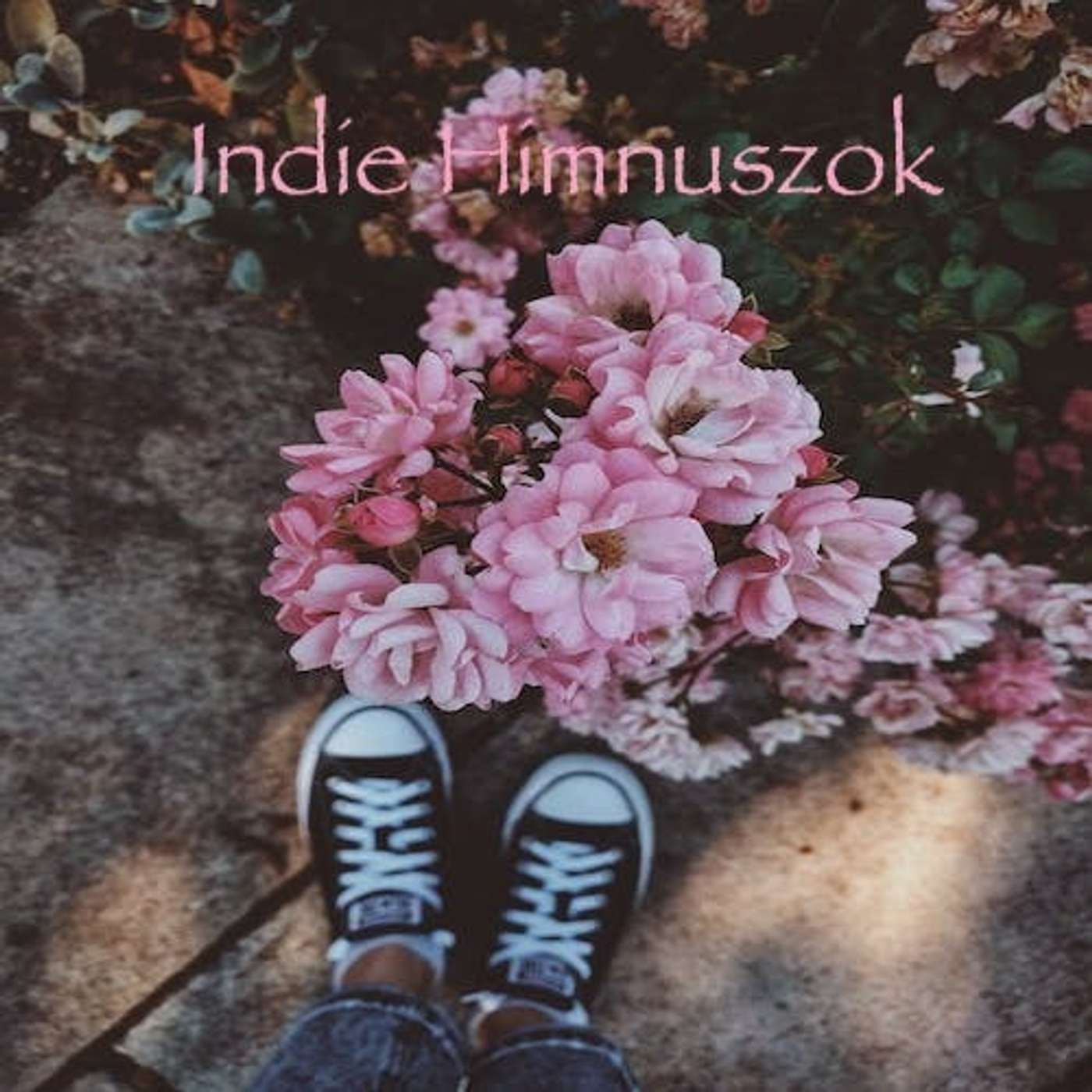 INDIE HIMNUSZOK