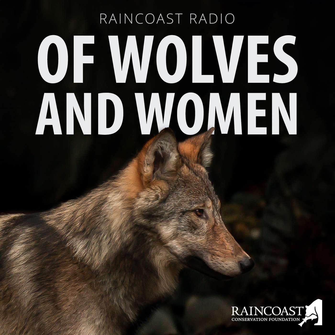 A special tribute to wolves and women with Paul Paquet A special tribute to wolves and women with Paul Paquet