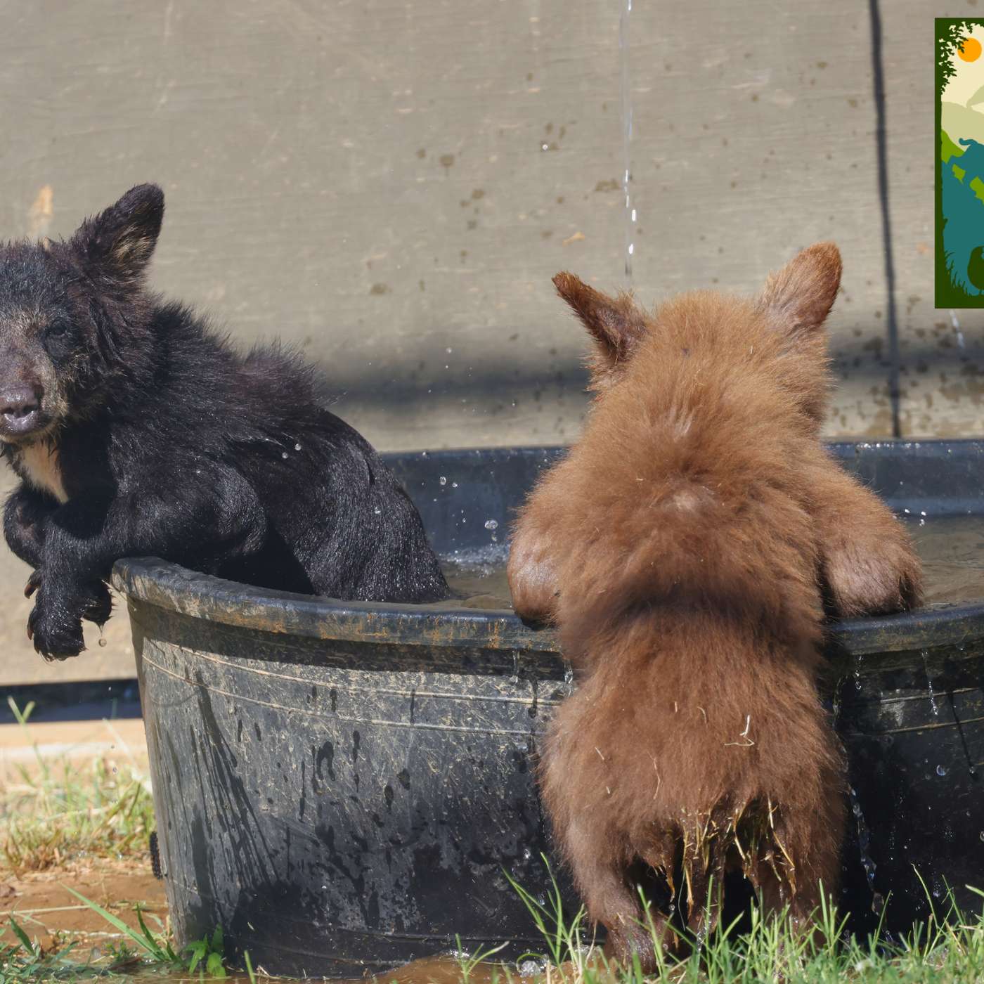 Gold Country Wildlife Rescue