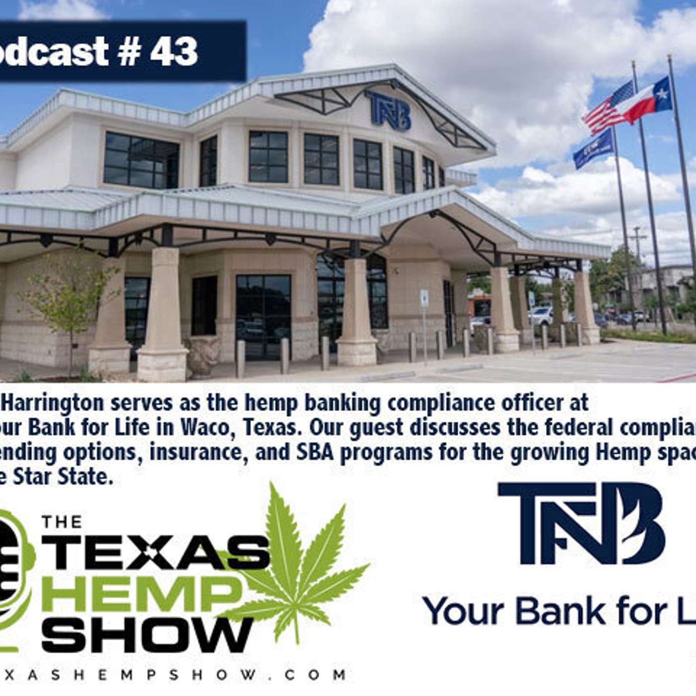 Episode: # 43 TFNB Bank episode artwork
