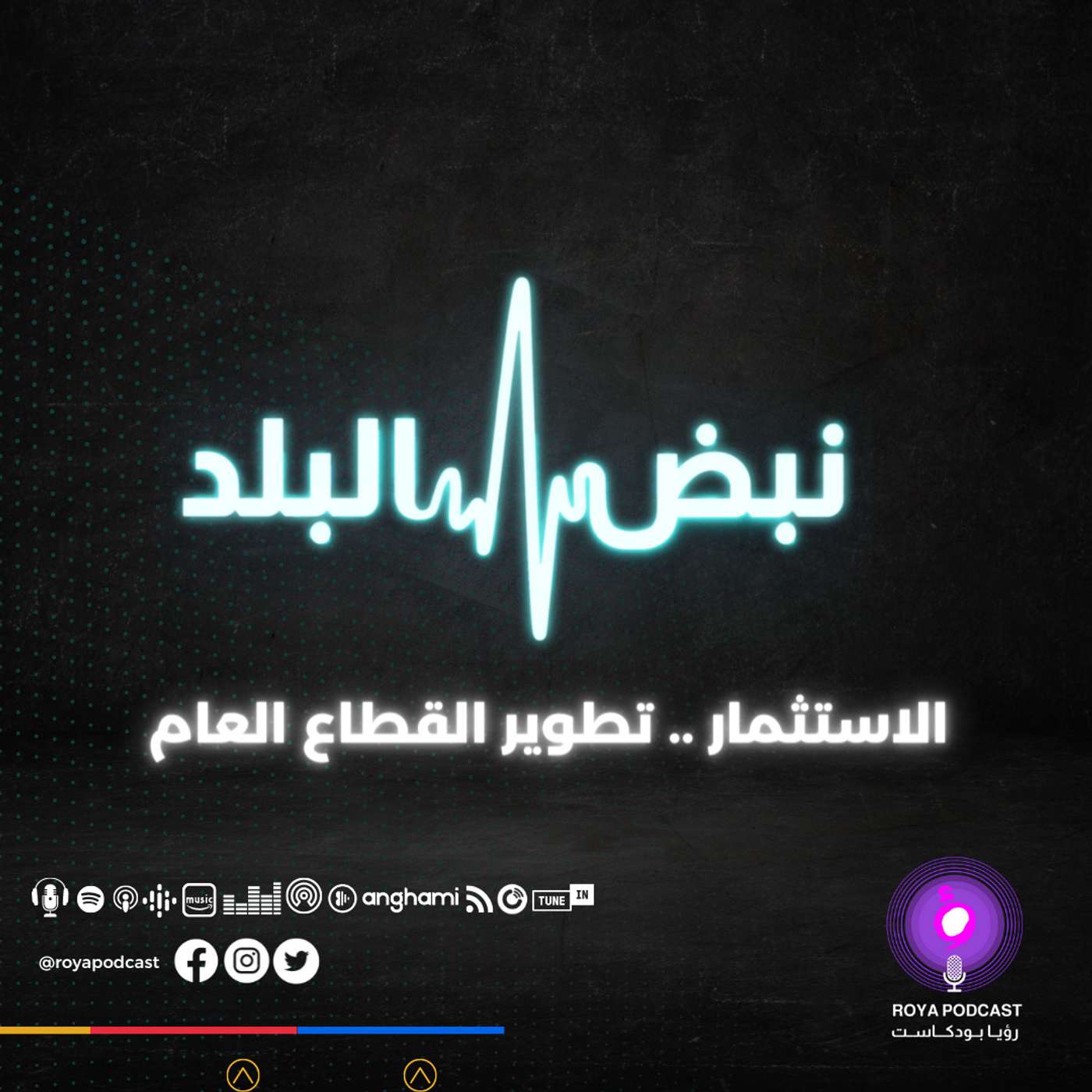 الاستثمار  .. تطوير القطاع العام