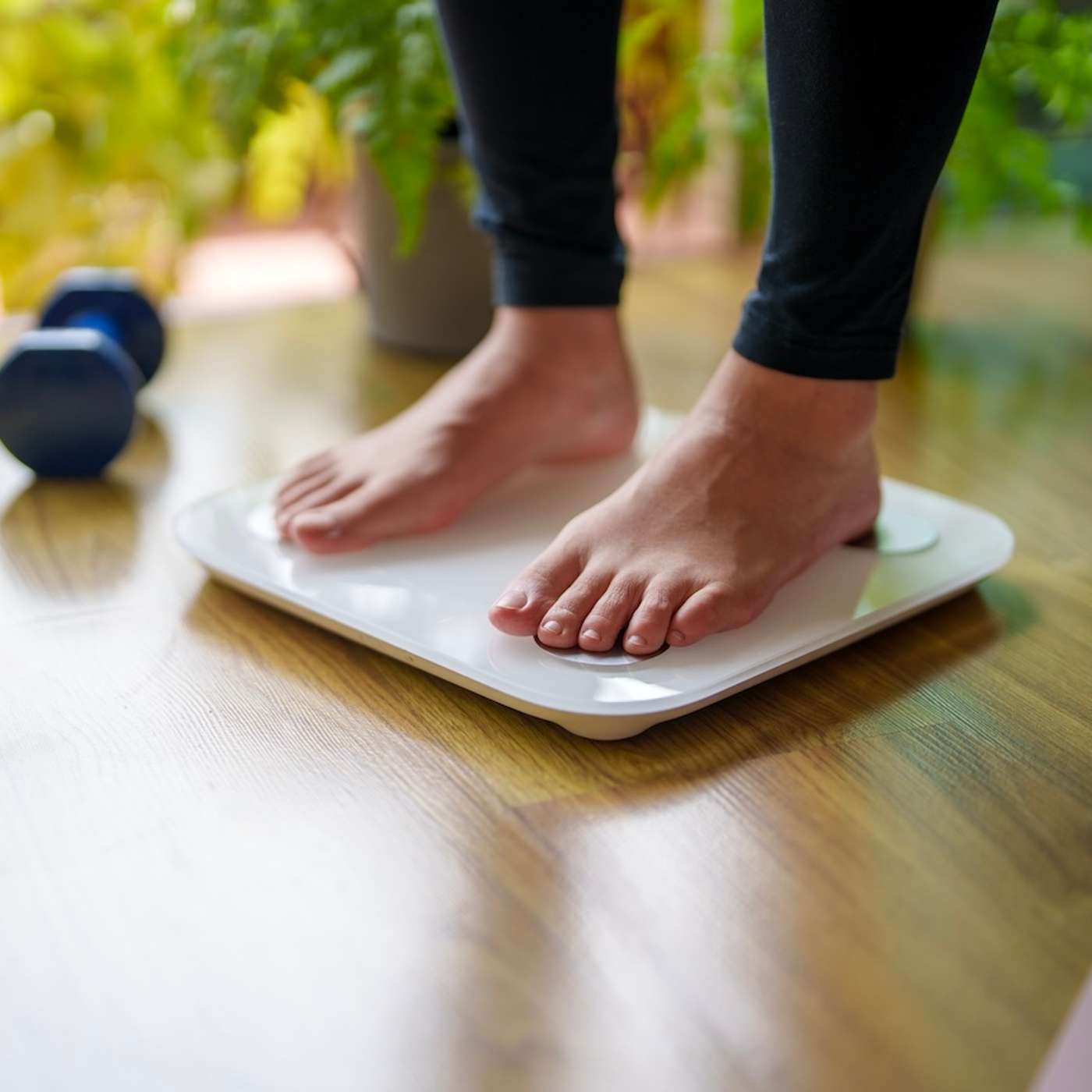 Smart body composition scales: helpful metabolic tool—or misleading distraction? episode artwork
