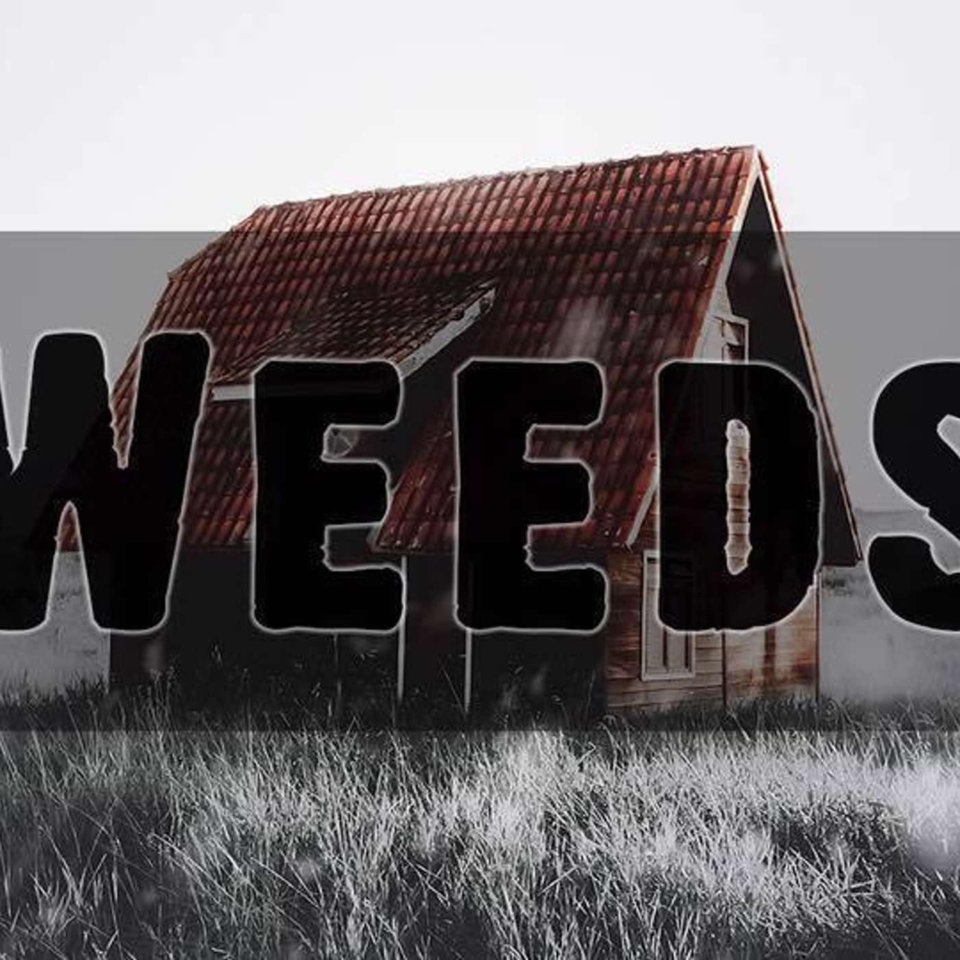 Weeds - Todd Blanton episode artwork