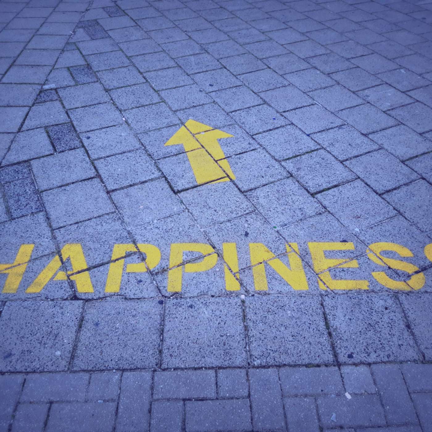 #575 | The Science of Happiness: Can It Be Measured? podcast