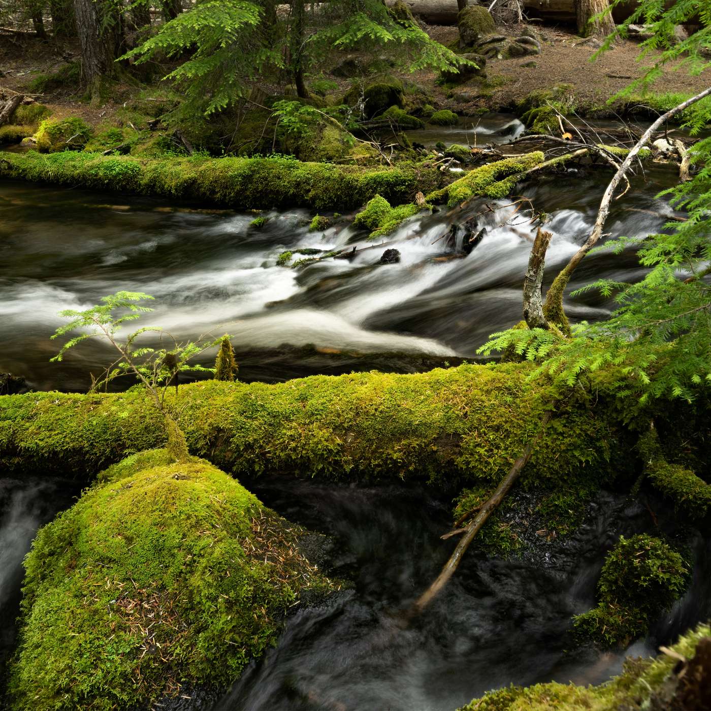 The Nature Photography Podcast