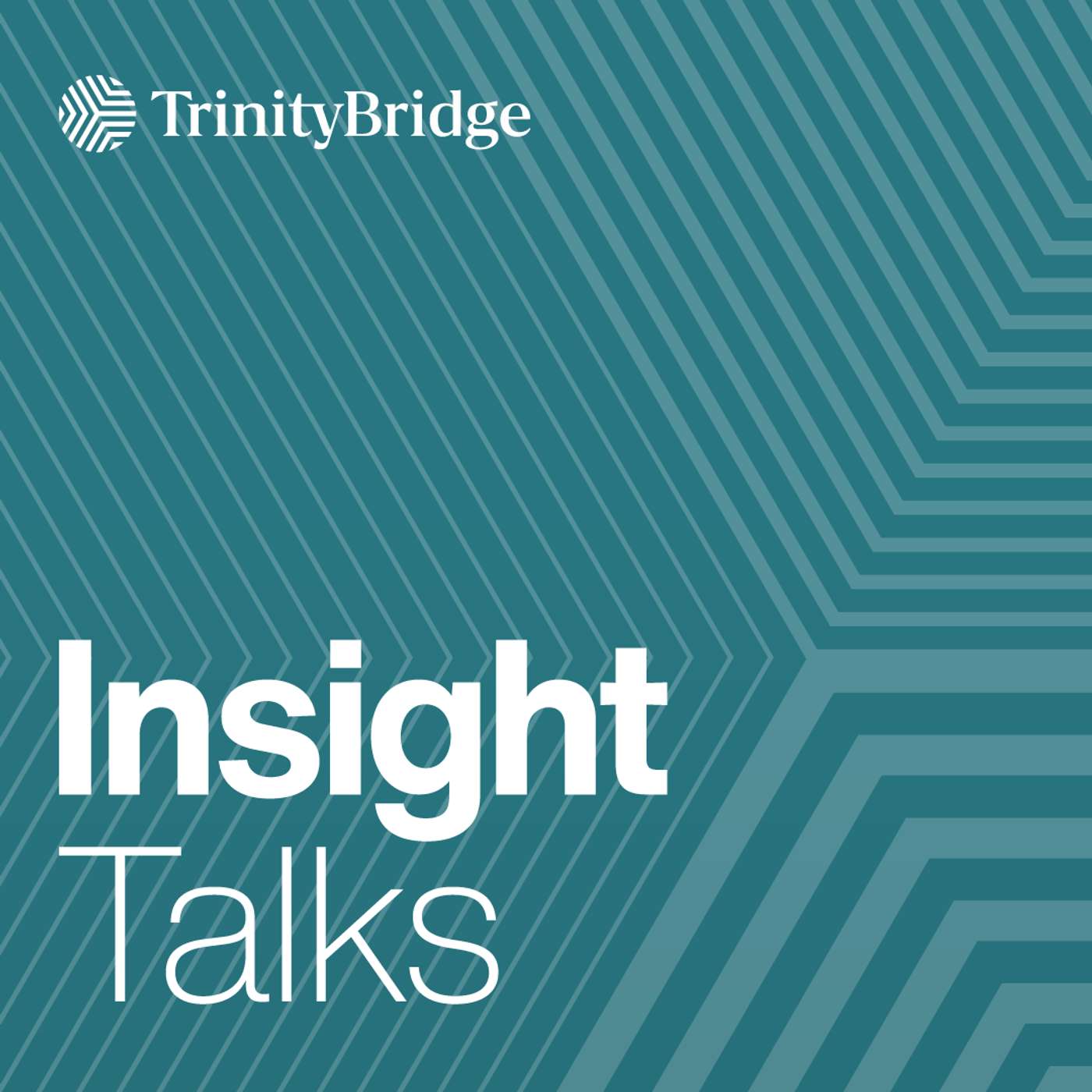 Insight Talks