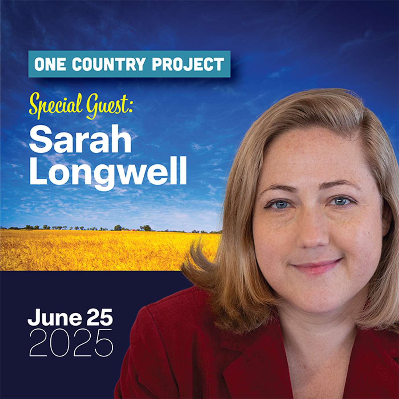 Sarah Longwell's Republican Triangle of Doom